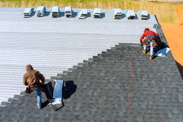 Best Roof Insulation Installation  in Lamar, TX